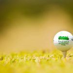 Golf - Stableford, rake in points on each hole!
