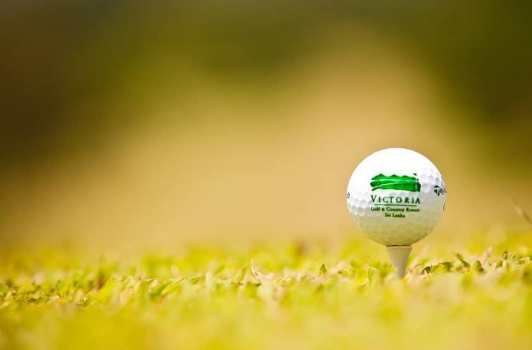 Golf - Stableford, rake in points on each hole!