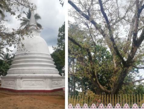 Niyamgampaya cetiya